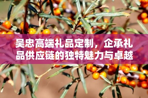 吴忠高端礼品定制，企承礼品供应链的独特魅力与卓越服务